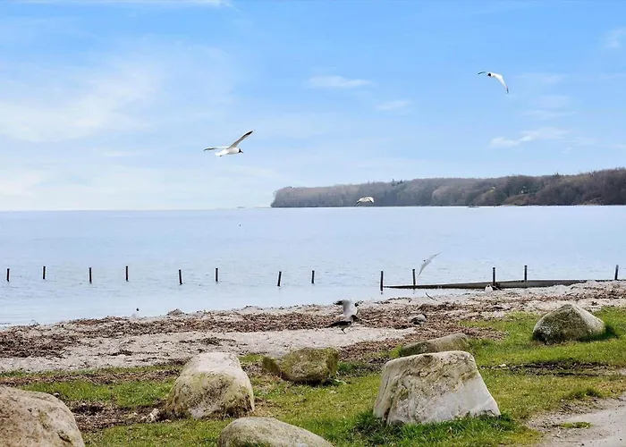 Prázdninový dům Sj215-bjert-binderup-strandpark-6